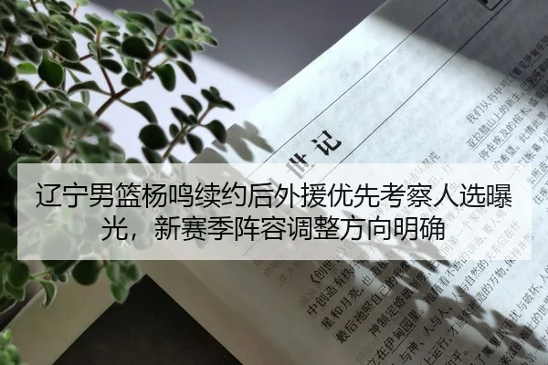 辽宁男篮杨鸣续约后外援优先考察人选曝光，新赛季阵容调整方向明确