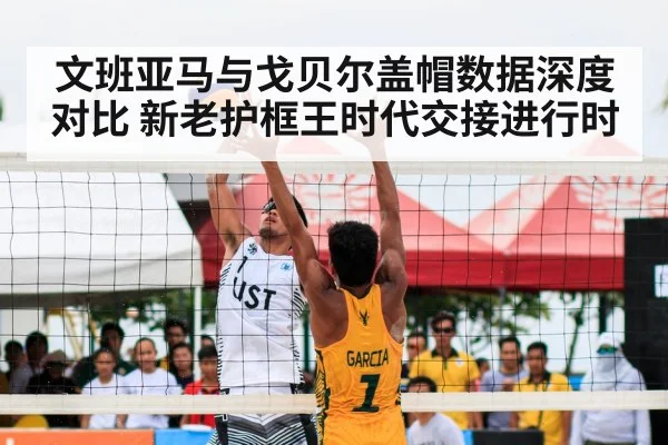 文班亚马与戈贝尔盖帽数据深度对比 新老护框王时代交接进行时