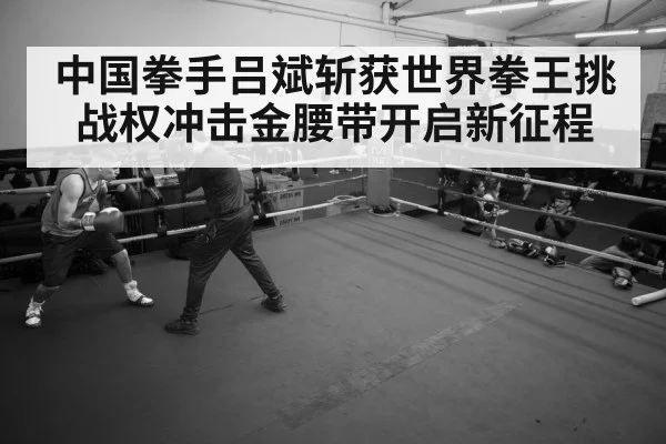 boxer training gym