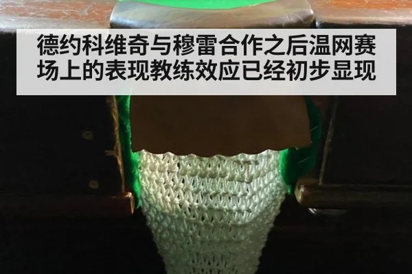 德约科维奇与穆雷合作之后温网赛场上的表现教练效应已经初步显现