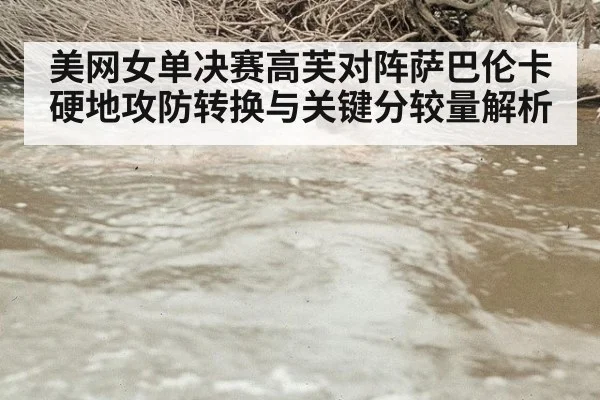 美网女单决赛高芙对阵萨巴伦卡硬地攻防转换与关键分较量解析